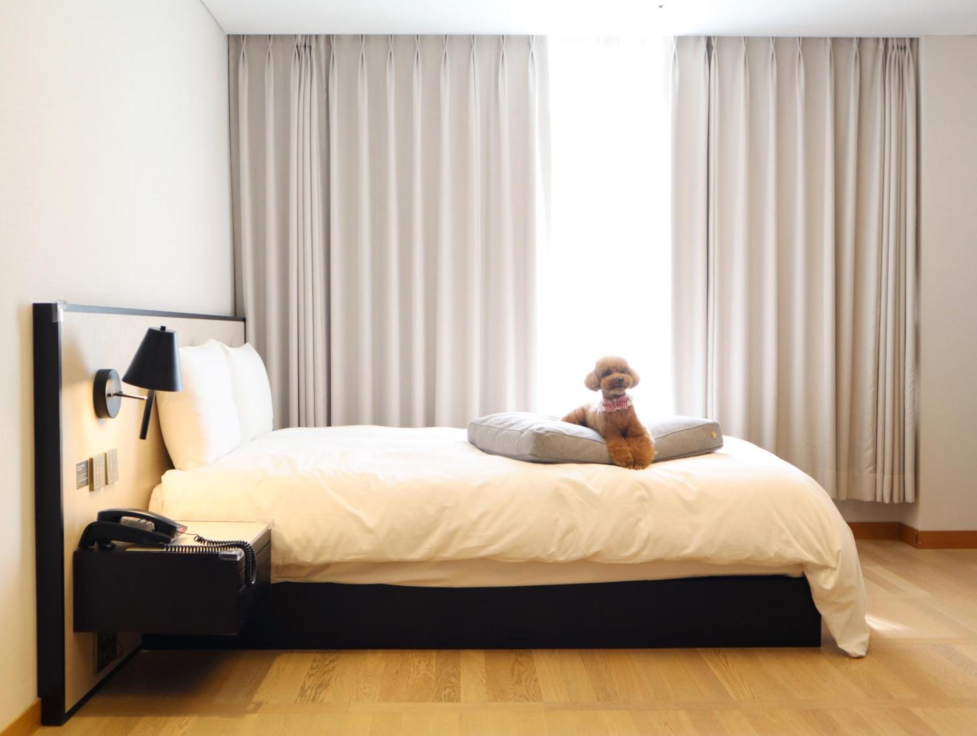 Maison Glad Jeju Extérieur photo